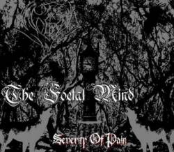 The Foetal Mind : Severity of Pain